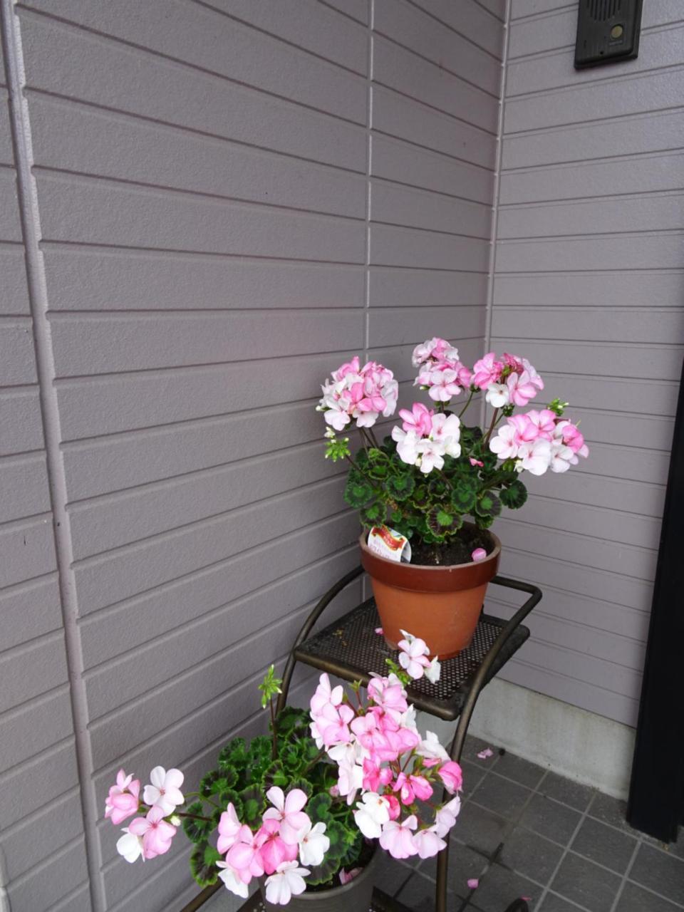 Guesthouse Gifu Suai Exterior foto