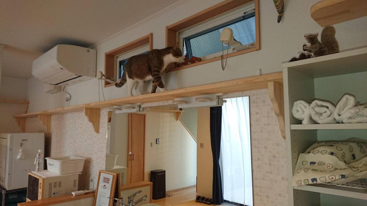 Guesthouse Gifu Suai Exterior foto